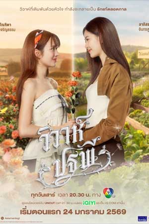 4 Elements: The Earth The Series